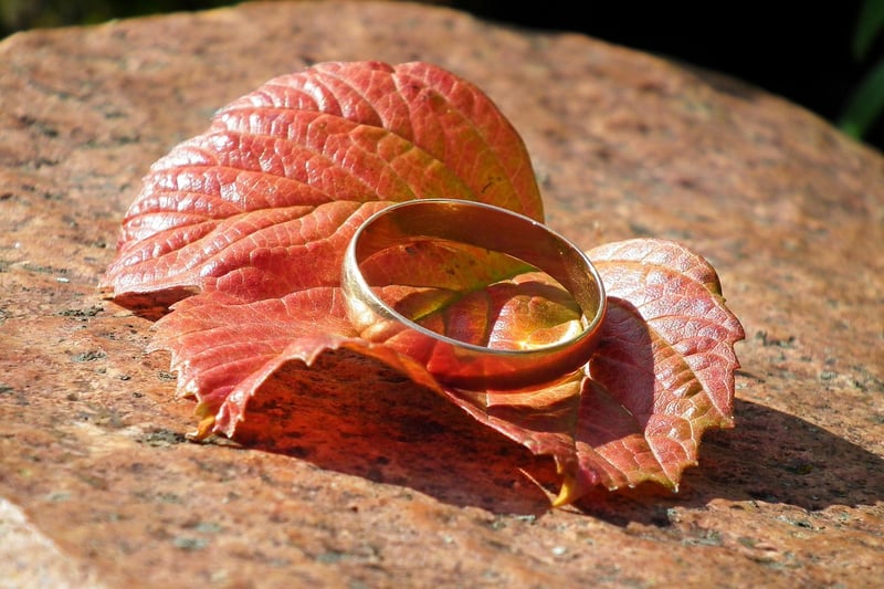 Enchanted Forest Rings